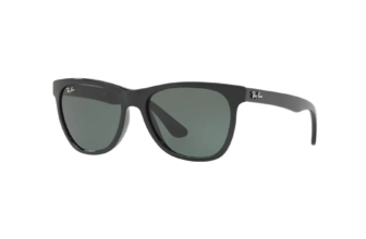 Ray-Ban RB4184 Polarized Sunglasses