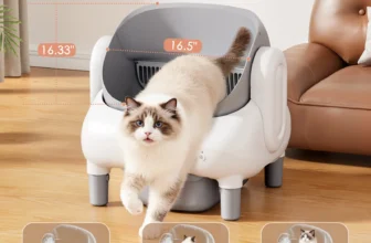 Automatic Self-Cleaning Litter Box