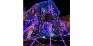 ECOHDT Brighter Spider Webs Halloween Decor – Brighter spider web Halloween decor for porch, yard, or indoor haunts.