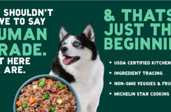 FREE A Pup Above 1lb Dog Food Patty After Rebate – Free first bag: get up to $15.99 back on an A Pup Above 1lb dog food patty