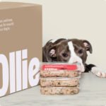 Ollie fresh dog food - 50% off first box plus free poop bags for life