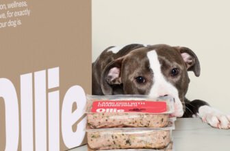 Ollie fresh dog food - 50% off first box plus free poop bags for life
