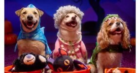 Dogs in Halloween costumes — free pet Halloween events at Petco and PetSmart