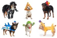 Free PetSmart Tricks for Treats Halloween Event w/ Tote Bag Giveaway & Costume Contest – Tricks for Treats in-store event: Oct 17 and Oct 25, 10 AM - 4 PM per PetSmart's official announcement