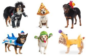Free PetSmart Tricks for Treats Halloween Event w/ Tote Bag Giveaway & Costume Contest – Tricks for Treats in-store event: Oct 17 and Oct 25, 10 AM - 4 PM per PetSmart's official announcement