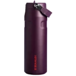 Stanley IceFlow Bottle Flip Straw 2.0 (24 oz) – 24 oz bottle with the Flip Straw 2.0 leak-resistant lid