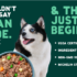 Domino’s 35% Off When You Pay With Paze (Through 11/8)