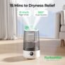 Homvana H101 3-in-1 Humidifier