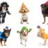 The Goods Brand FREE Stickers by Mail – FREE